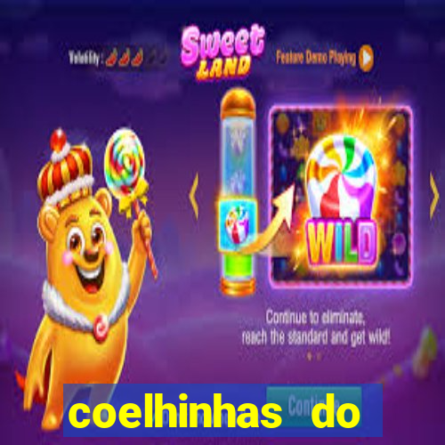 coelhinhas do brasil site